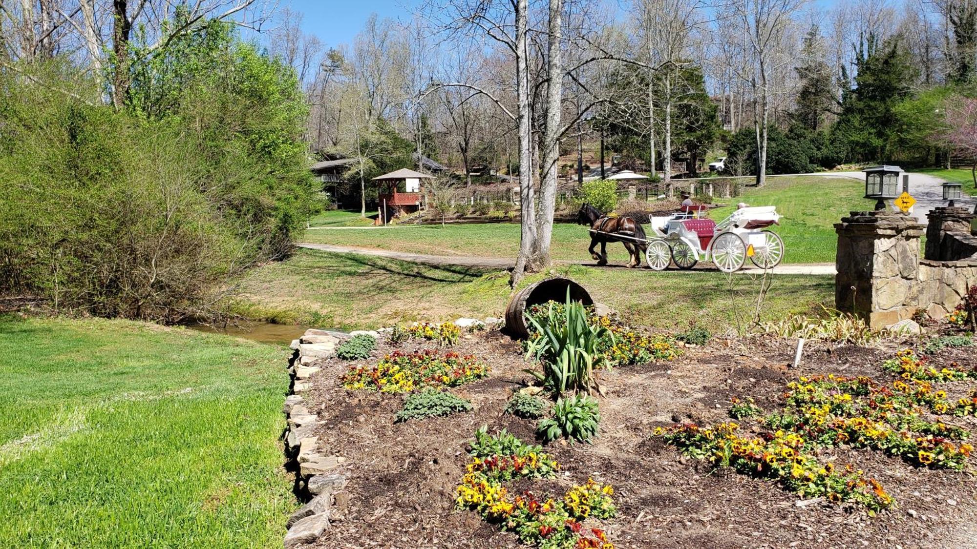 Forrest Hills Mountain Resort Dahlonega Exterior photo