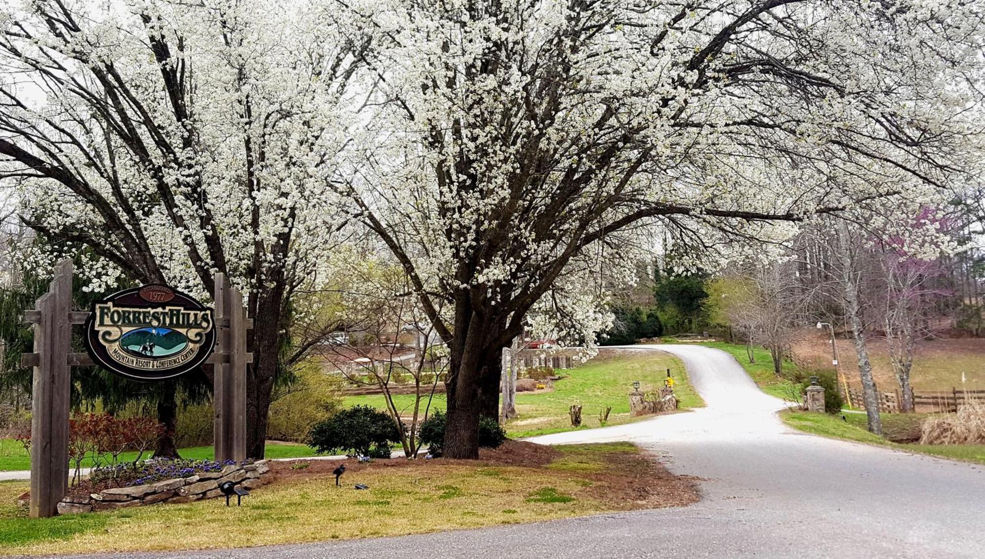 Forrest Hills Mountain Resort Dahlonega Exterior photo